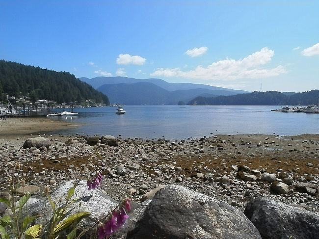 カヤックやカヌーのレンタルもあり、いつもにぎわうビーチです。