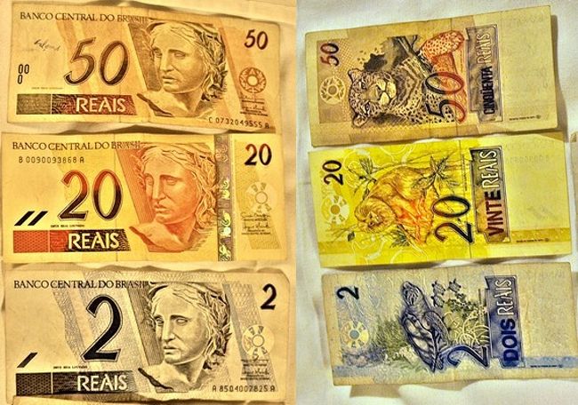 ブラジル紙幣です。<br />アマゾンに生息する動物が描かれています。