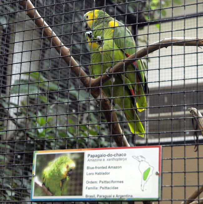 野鳥園を見て、一旦ホテルへ<br />