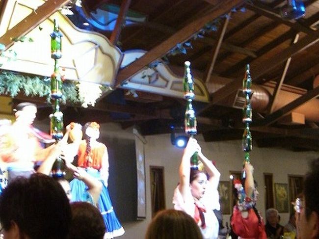 パラグアイ滞在中には「瓶ダンス」を見る機会がないので、と友人夫妻がこの場を設定してくれました。舞台側のいい席でした。ありがとう！<br /><br />Ｓはアルゼンチンタンゴのダンスに魅了されたそうです。<br /><br />最後は客席を巻き込んで地元ブラジルのサンバで締めくくり見応えのあるショーでした。<br /><br /><br />