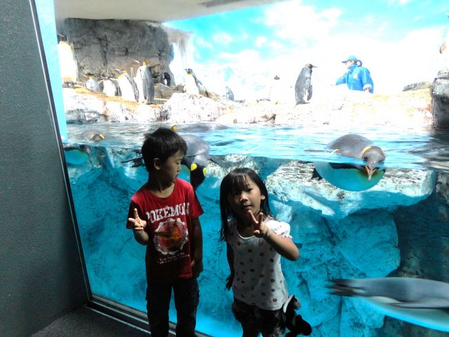 オコチャマ3名と行く 鴨川シーワールド ホテル 水族館編 千葉県の旅行記 ブログ By ふゆぅさん フォートラベル オコチャマ3名と行く 鴨川シーワールド ホテル 水族館編 千葉県の旅行記 ブログ By ふゆぅさん フォートラベル