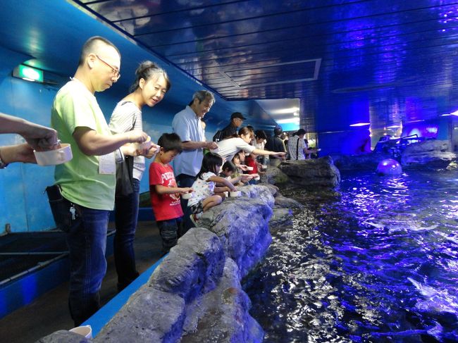 オコチャマ3名と行く 鴨川シーワールド ホテル 水族館編 千葉県の旅行記 ブログ By ふゆぅさん フォートラベル オコチャマ3名と行く 鴨川シーワールド ホテル 水族館編 千葉県の旅行記 ブログ By ふゆぅさん フォートラベル
