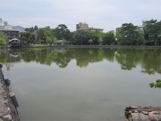 猿沢池<br />猿沢池七不思議が有名ですよね。<br />澄まず <br />濁らず <br />出ず <br />入らず <br />蛙はわかず <br />藻は生えず <br />魚が七分に水三分 <br />猿沢池の水は、決して澄むことなくまたひどく濁ることもない。水が流入する川はなくまた流出する川もないのに、常に一定の水量を保っている。亀はたくさんいるが、なぜか蛙はいない。なぜか藻も生えない。毎年多くの魚が放たれているので増えるいっぽうであるにもかかわらず、魚であふれる様子がない。水より魚の方が多くてもおかしくないような池。<br /><br />出典: フリー百科事典『ウィキペディア（Wikipedia）』より