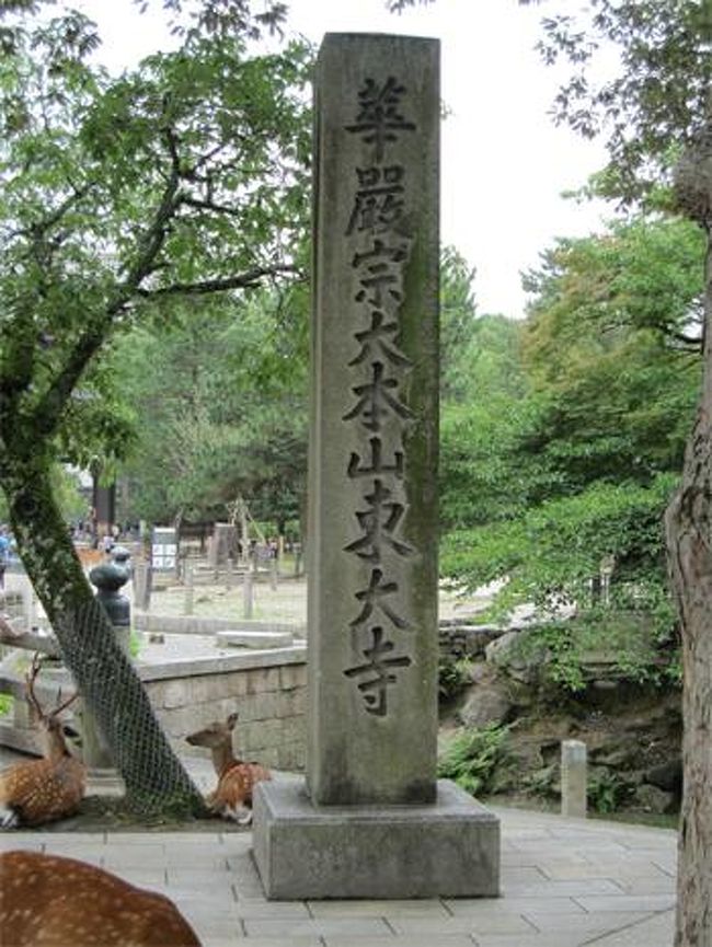 しかし、京都もよく歩くけど、奈良も歩くな（汗）<br /><br />その辺の鹿をかき分けながら、東大寺にやってきました