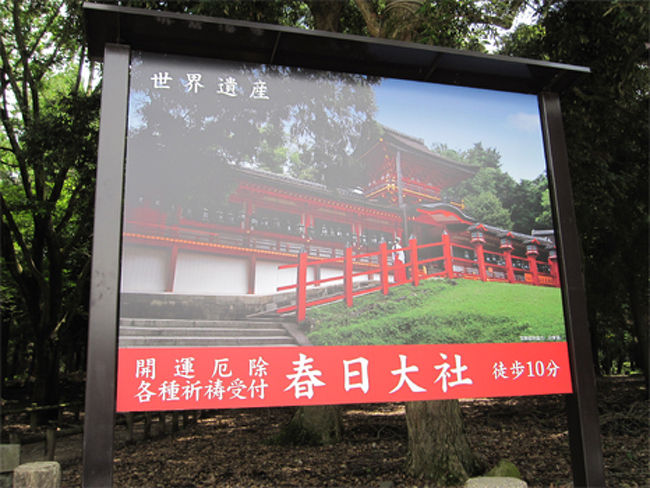 もう少し時間があるので、春日大社まで歩くことに…