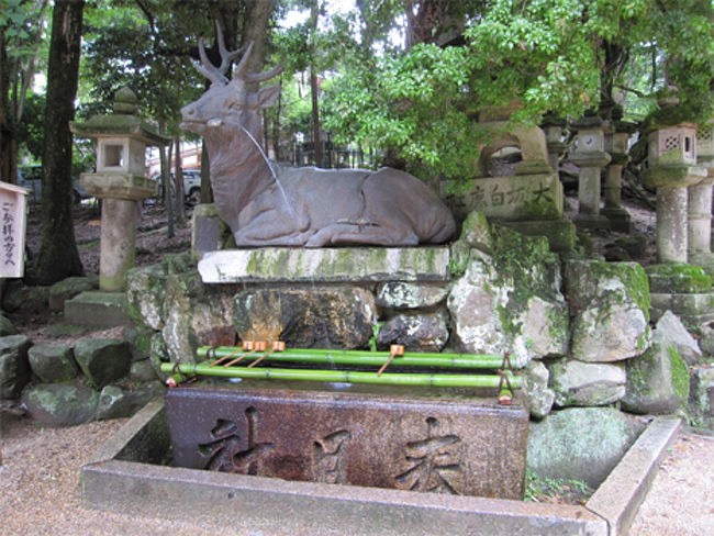 ここで手を清めて…