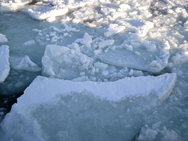 旭日山動物園を後にして紋別へ。<br />流氷情報は昨日は接岸してましたが、残念ながら今日は昨日の流氷はどこかへ行ってしまった・・・とか。<br />接岸風景は見ることができませんでしたが、昨日接岸したときの流氷がかなり残っていて初めて流氷をみることはできました。<br />