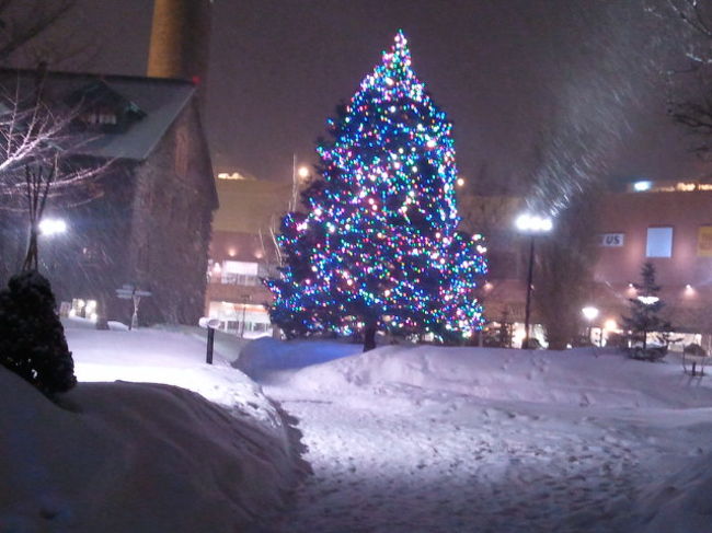 サッポロビール園でジンギスカン食べました。