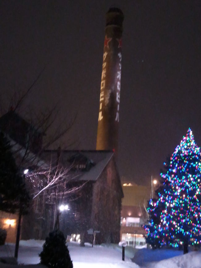 すごい吹雪になりました。<br />帰りはタクシーで。