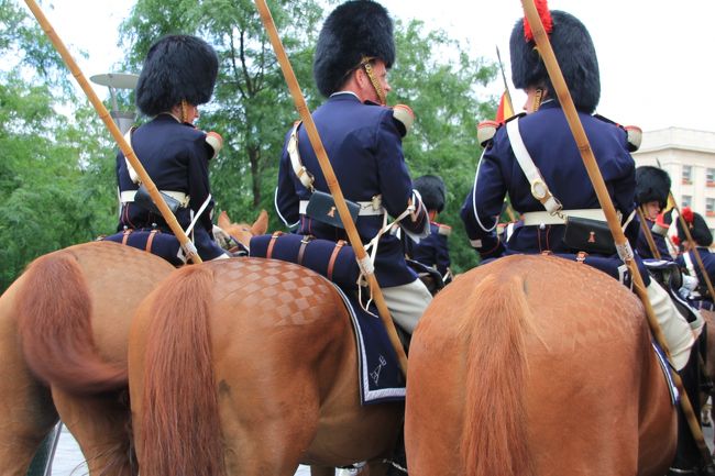 馬のお尻に市松模様が刈り込まれている。<br />全馬お揃いだから、手間暇かかってるなぁ！