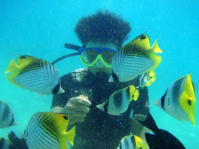 魚がいっぱい！！去年のロタ島に続き２度目の余裕？？