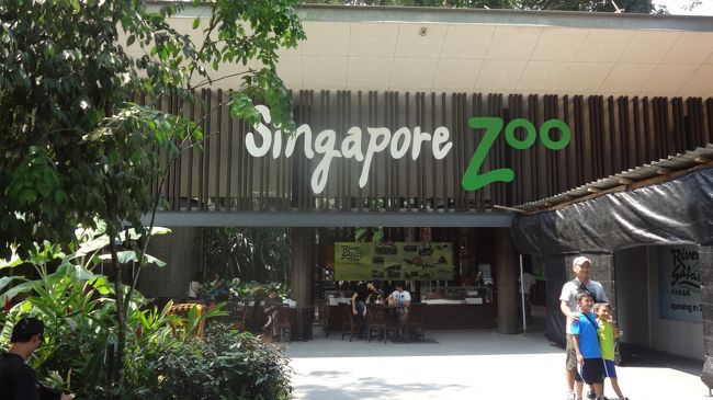 ヒマだったんでシンガポール動物園に行ってきました。<br /><br />大人一人２５ドル