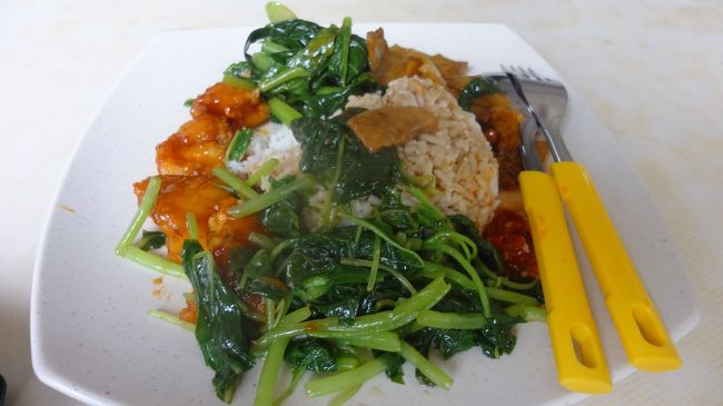 どっかのフードコートで食べた1肉２菜<br /><br />３ドル<br /><br />味は△