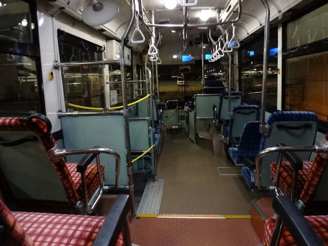 今回は羽田からの夜行便<br /><br />国内線Tから国際線Tへシャトルバスで移動です