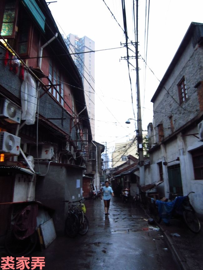 本当に道に迷ったので、地図とにらめっこしつつ散歩は続きます。