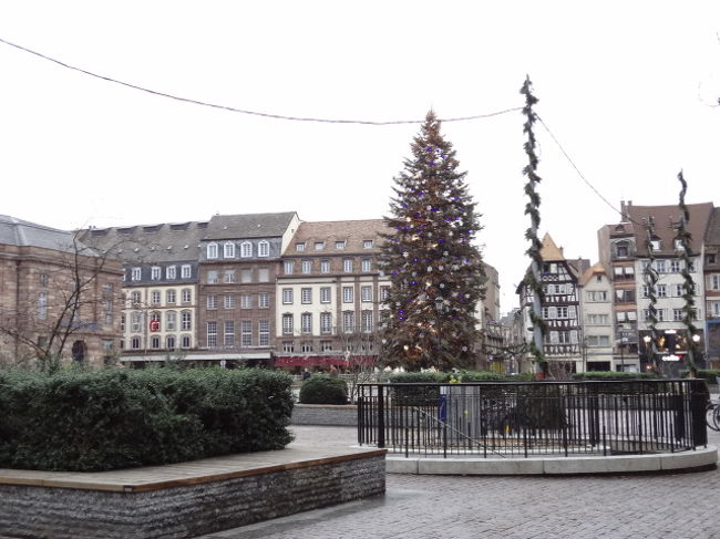 クリスマスツリー発祥の地？？