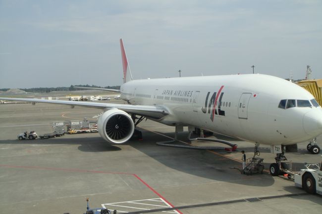 本日の搭乗機<br /><br />これでフランクフルトまで行きます。