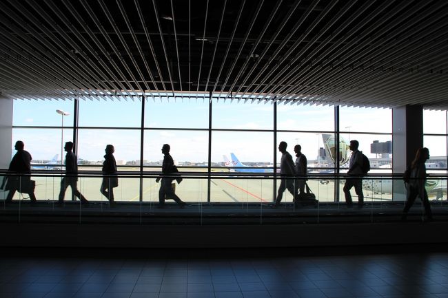 ブリュッセル行にトランジットします。<br />結構遠くて、端から端まで歩く感じ。