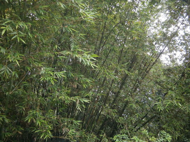 秘密の場所に行く途中・・・。