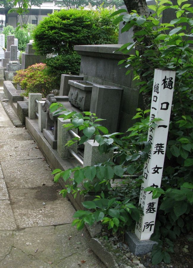 大きな墓地で有名人のお墓が多い中、案内があるのは、一葉の墓のみです。