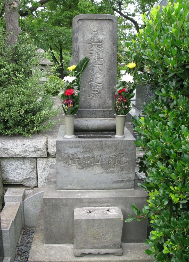 　このお墓が、樋口家先祖代々のお墓で、一葉も埋葬されています。<br />お花も活けてありました。　ゆっくり手を合わせます。