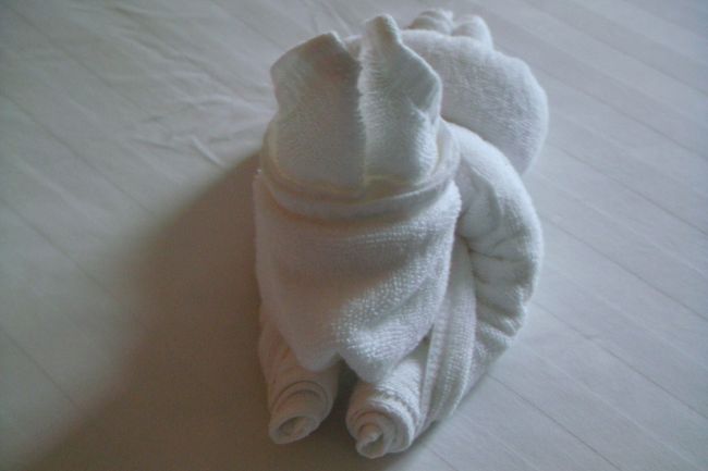 ベッドの上に乗っていた象<br /><br />どーやってつくるのだろー<br /><br /><br />