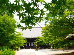 今回のテーマはまだ行ったことない京都探しなので、銀閣寺ではなく逆の住宅街方面へ。
ゆるやかな坂を上って到着したのは真如堂。
銀閣寺からは離れていることもあって、観光客の姿もほとんど無い。