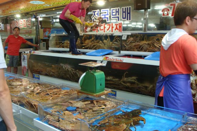 カニ×５<br /><br />しかも安かったよーな気がする。<br /><br /><br />現地の人が値段交渉するのじ〜〜〜っと見てたけど<br /><br />結局わからんかった(>_<)<br />