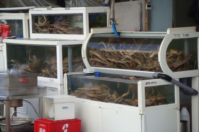 おおおおっ、しょっぱなからカニ♪