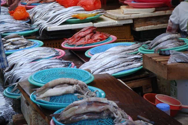 確かに新鮮そう<br /><br /><br />でも値段が書いてないの<br /><br /><br />きっと交渉制なんだろーな