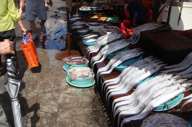 これって太刀魚？？<br /><br /><br />でかっ<br /><br /><br />