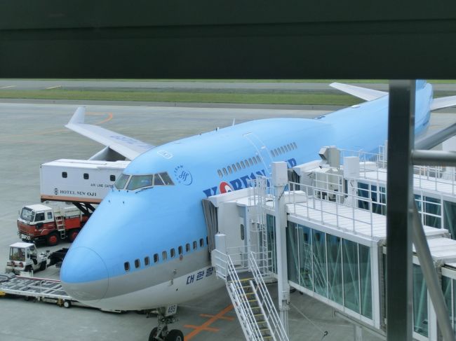 お世話になる大韓航空です。<br />まずは、千歳から仁川まで。ハワイとは逆に飛んでいきます。<br />満席でした。