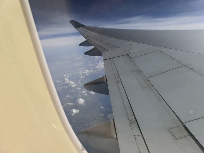 座席指定していなかったのですが、幸運にも窓際。<br />晴天の中、仁川まで３時間の旅です。<br />国際線なので、映画や音楽なども充実しています。