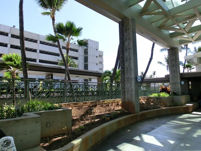 さて、入国審査です。<br />機内で記入した「税関申告書」とパスポートと。帰国の便名などを聞かれるかも、ということで行程表を持って。<br />あれ？並ぶことを覚悟していたのですが、入国審査場に人影はまばらでした。９時１０分着は早いのでしょうか。<br /><br />入国審査官がこっちに来いと手招きしています。<br />パスポートと行程表を出したら何も聞かれませんでした。<br />「ミギテ、４ホン。オヤユビ。ヒダリテ。オヤユビ。カメラミテ。メガネトッテ」指紋と写真撮ったら、行っていいよ。と。<br /><br />スーツケースを受け取ります。すでに並べられており、フルーツ犬が歩きまわってます。<br /><br />何事もなく受け取り、ＫＮＴの団体受付へ。いよいよハワイです。