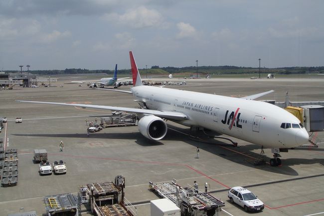 今回の搭乗機<br /><br />はやく７８７にしてください＞ＪＡＬ様