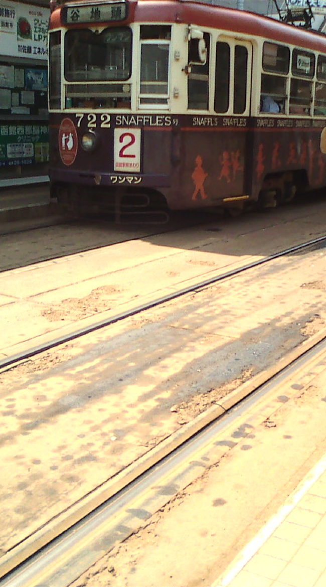 午前９時ころ函館空港着。空港からはバスで函館駅へ。駅でパンフを物色。２日のＳＬ乗車の手続きをして、ホテルのある五稜郭へ市電で向かいます。<br />このころすでに刺すような強い日差しが…　あれ、北海道、暑いんですけど…