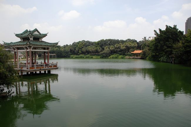 公園内の池。<br /><br />蓮が無いのが珍しい感じですね。