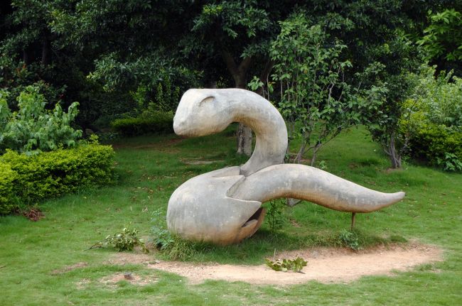 蓮は無いけど蛇が居ました･･･