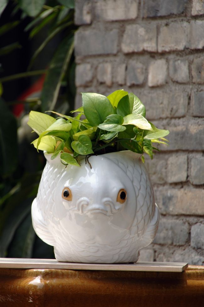 店頭に置いてあった金魚形の金魚鉢（鯉かな？）。<br /><br />花瓶にもなります。