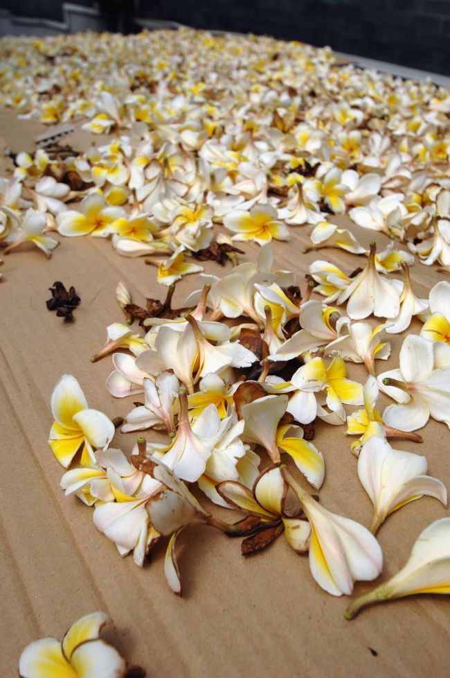 ん！<br />「鶏蛋花」は漢方なので、食べる支度をして居るんですね。<br /><br />前から聞いていましたが、本当に食べるんですねぇ。