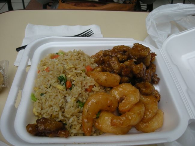 モール内のフードコートでランチ。これで娘２人と食べて丁度よかった。