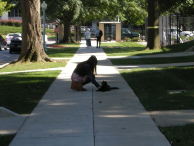 娘がネコちゃん発見！　彼に「ネコもいるんだね」と話したら「３年目になるけど、見たことない！」って言われました。