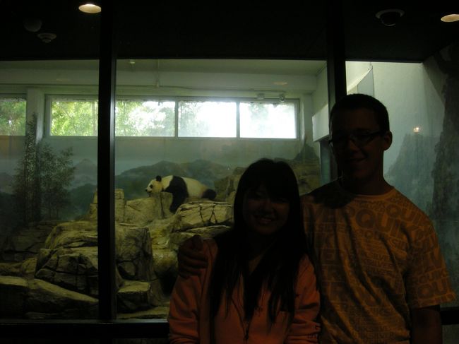 パンダはハッキリ写りました（笑）