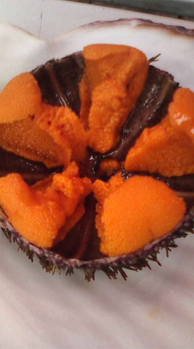 函館最後の朝、３日間結局食べに行かなかった朝市で、最後申し訳程度にウニを食べる。エゾバフンウニ５００円。甘かったです。目の前にうにむらかみさんがあったんですけど、朝イチでどんぶりは胃に入らないからこれでいい。うに丼はまたの機会に…