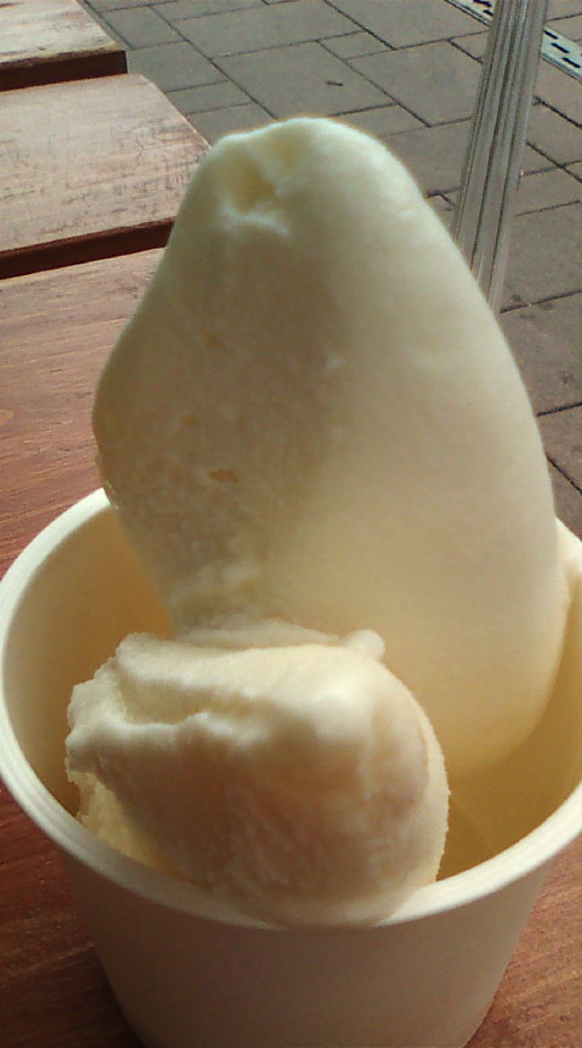 函館最後の食べ物〜　ミルクとキャラメルのダブル。色が大差ない〜　両方ともミルク感が濃厚でした！そして後味しつこくなくておいしいです。<br />さてさて、これから小樽に移動。しかも出だしＳＬに乗ることは決まっているけど、あとはまだ未定。ちゃんと小樽につけるかいな？<br />函館〜小樽・移動編へと続く