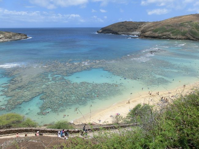 ハナウマ湾です。<br />展望台からですが、かなりきれいです。
