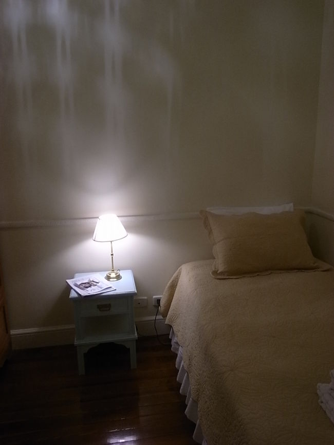 ヨハネスブルグを1時間ほど遅れて飛び立ち、海を渡って南米大陸はブエノスアイレスへ。<br />到着は夕方5時過ぎ。そこからイミグレーションと長蛇の列の荷物検査を終えたらもう6時前。<br />タクシーで市内のB&amp;Bまではtaxiezeizaで198ペソと激高。宿代より高いではないか。<br />安全はお金で買う＆時間の節約とわかってはいても痛い出費。<br /><br />今夜のB&amp;B Ada &amp; Valentyn、1泊35ドル。<br />部屋は狭いけど、オーナー夫妻がとってもいい人たちで居心地がいい。何よりPlaza de Mayoまで歩いて5分かからない立地が最高。<br />時間のない旅行者にはお薦めの宿。<br /><br />ブエノスアイレスに来たからには、タンゴ鑑賞。<br />観光客向けではなく、地元の人がタンゴを踊りに行くような場所へ行ってみたいと伝えると、宿のマダムがお供してくれることになった。<br />待ち合わせ時間は10時45分、夜の（笑）<br /><br />それまでに軽く外出しようと思ったけど、ベッドに横になったらそのまま寝てしまった。