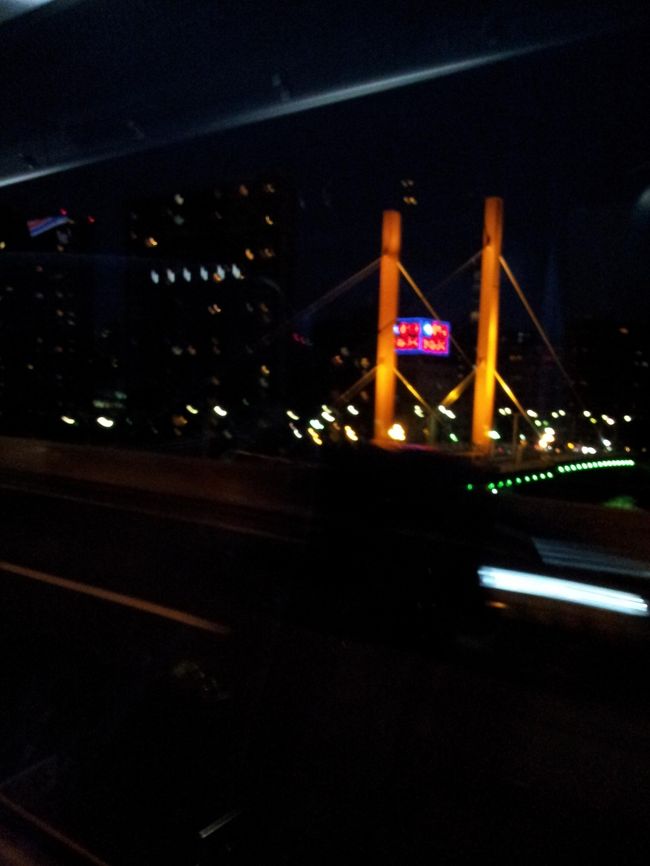 都内はそこそこ混んでいましたが、１５分ぐらいですいすい。<br />夜の東京見学もできてお得な気分。