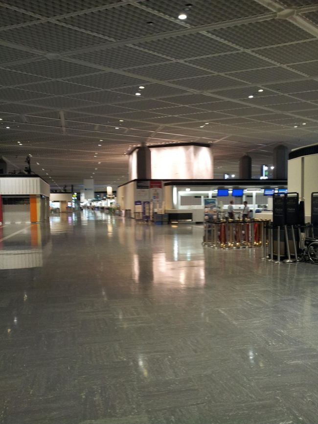 送った荷物をひきとりに来たのですが、８時すぎた成田空港はがらーん。<br />でもいいね！
