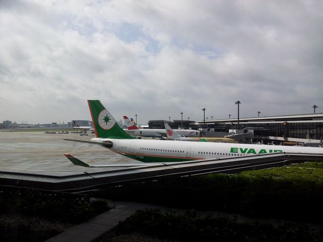 色んな飛行機がー！